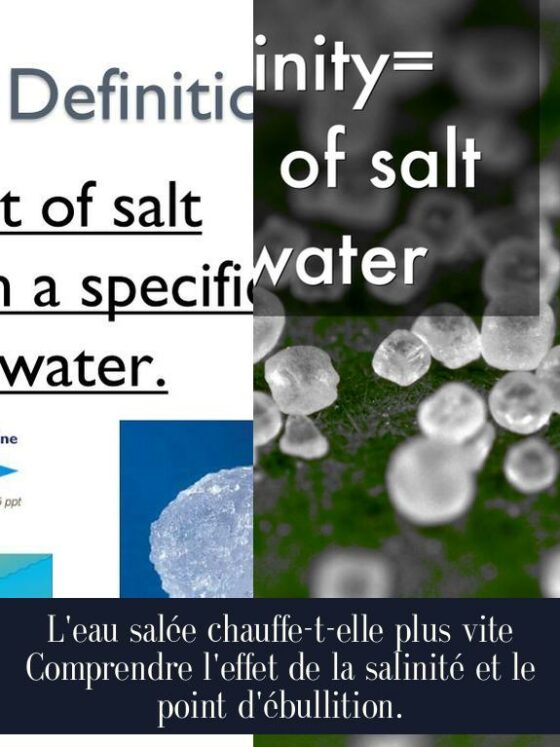 L'eau salée chauffe-t-elle plus vite Comprendre l'effet de la salinité et le point d'ébullition.