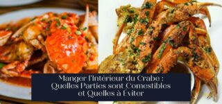 Manger l'Intérieur du Crabe : Quelles Parties sont Comestibles et Quelles à Éviter