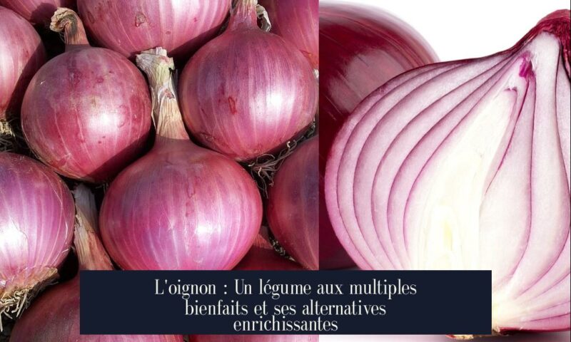 L'oignon : Un légume aux multiples bienfaits et ses alternatives enrichissantes