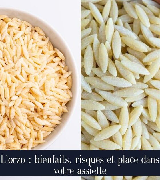 L'orzo : bienfaits, risques et place dans votre assiette