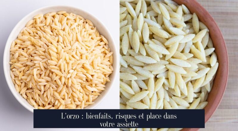 L'orzo : bienfaits, risques et place dans votre assiette