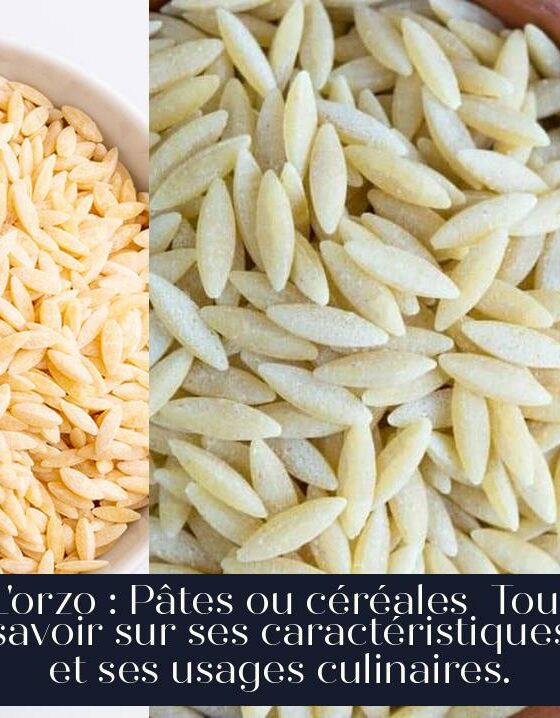 L'orzo : Pâtes ou céréales Tout savoir sur ses caractéristiques et ses usages culinaires.