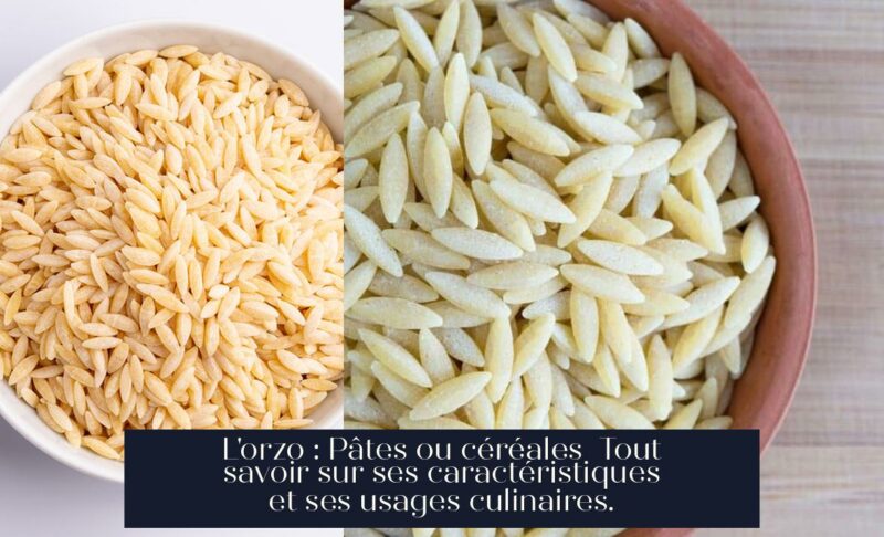 L'orzo : Pâtes ou céréales Tout savoir sur ses caractéristiques et ses usages culinaires.