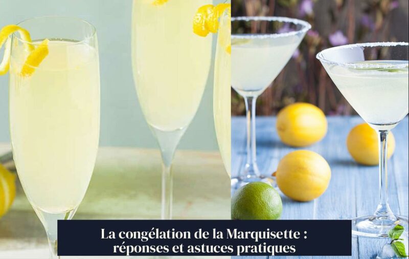 La congélation de la Marquisette : réponses et astuces pratiques