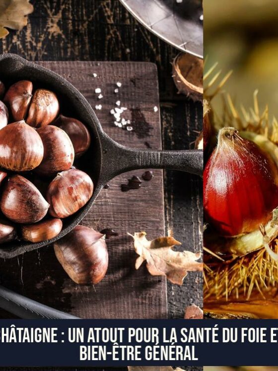 La châtaigne : un atout pour la santé du foie et le bien-être général