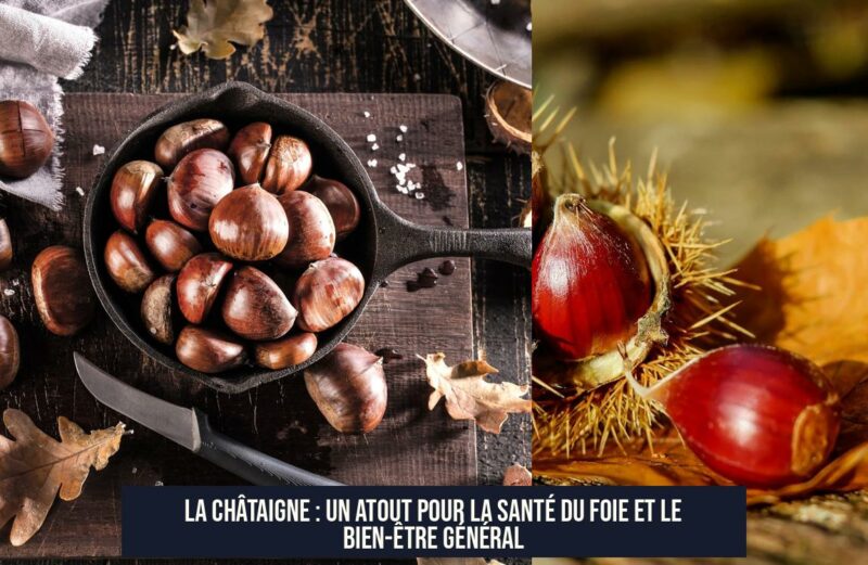La châtaigne : un atout pour la santé du foie et le bien-être général