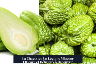 La Chayotte : Un Légume Minceur Efficace et Délicieux à Découvrir