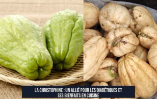 La christophine : un allié pour les diabétiques et ses bienfaits en cuisine