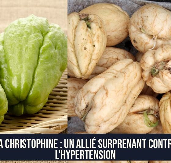 La christophine : un allié surprenant contre l'hypertension