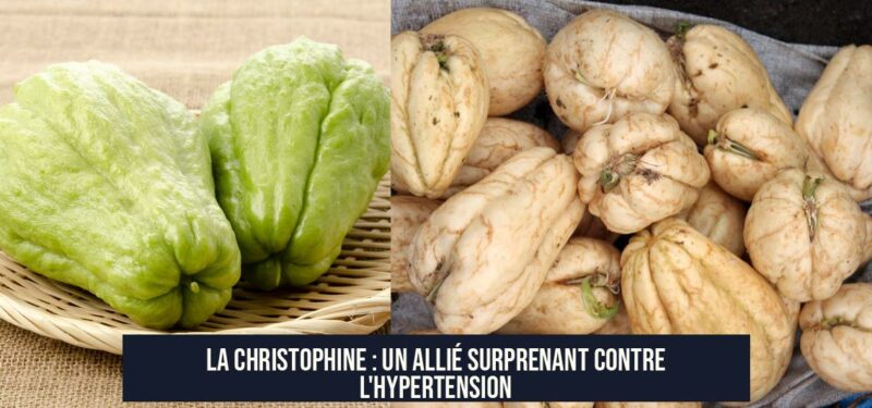 La christophine : un allié surprenant contre l'hypertension