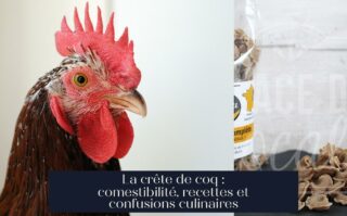 La crête de coq : comestibilité, recettes et confusions culinaires