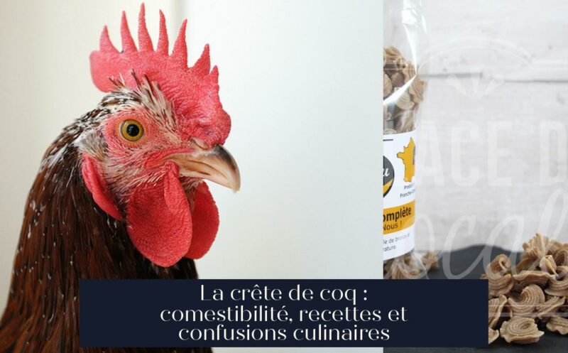 La crête de coq : comestibilité, recettes et confusions culinaires