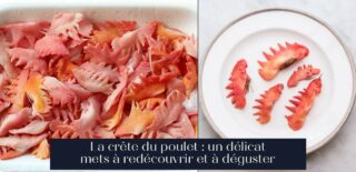 La crête du poulet : un délicat mets à redécouvrir et à déguster