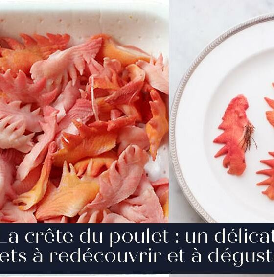 La crête du poulet : un délicat mets à redécouvrir et à déguster