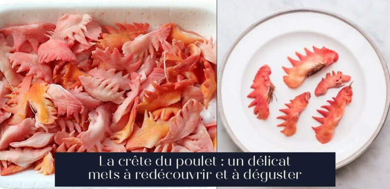 La crête du poulet : un délicat mets à redécouvrir et à déguster