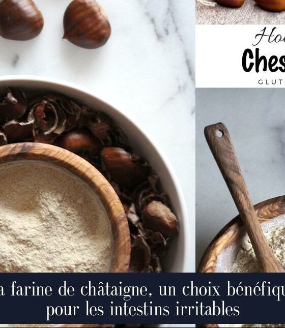 La farine de châtaigne, un choix bénéfique pour les intestins irritables