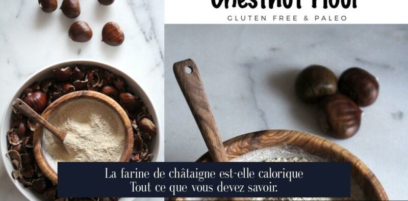 La farine de châtaigne est-elle calorique Tout ce que vous devez savoir.