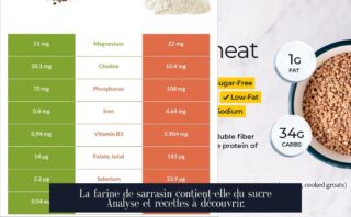 La farine de sarrasin contient-elle du sucre Analyse et recettes à découvrir.