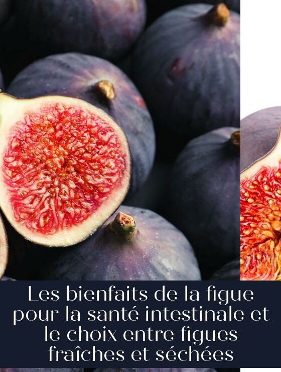 Les bienfaits de la figue pour la santé intestinale et le choix entre figues fraîches et séchées