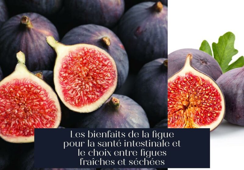 Les bienfaits de la figue pour la santé intestinale et le choix entre figues fraîches et séchées