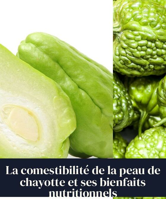 La comestibilité de la peau de chayotte et ses bienfaits nutritionnels