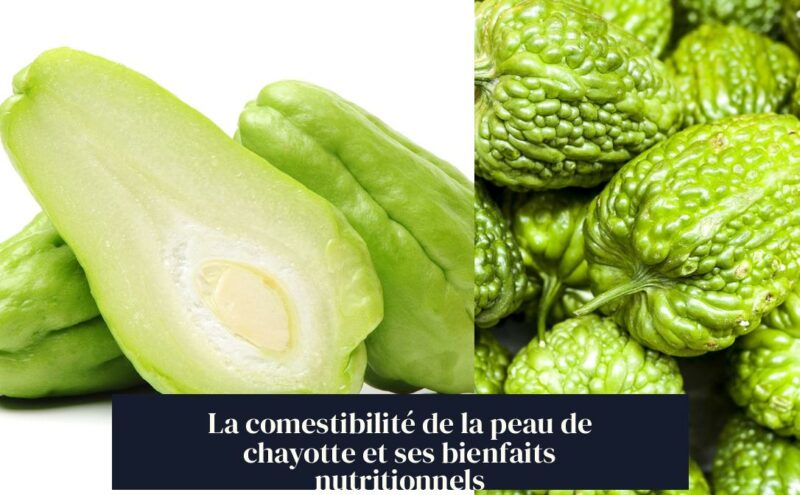 La comestibilité de la peau de chayotte et ses bienfaits nutritionnels