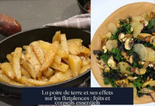La poire de terre et ses effets sur les flatulences : faits et conseils essentiels
