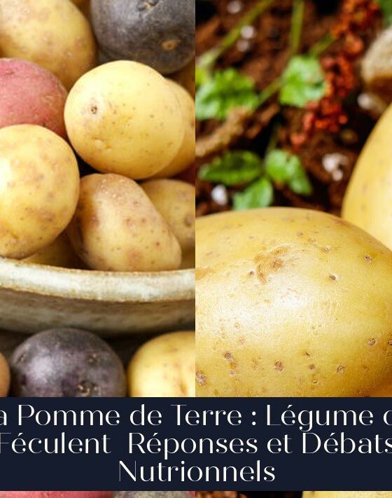 La Pomme de Terre : Légume ou Féculent Réponses et Débats Nutrionnels
