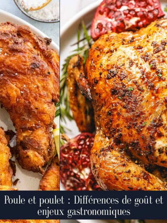 Poule et poulet : Différences de goût et enjeux gastronomiques