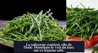 La salicorne contient-elle de l'iode Démêlons le vrai du faux sur ce légume salé.