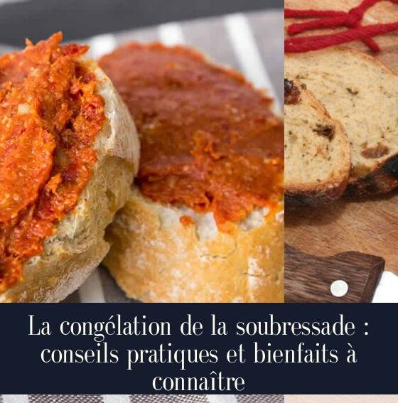 La congélation de la soubressade : conseils pratiques et bienfaits à connaître