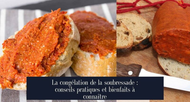 La congélation de la soubressade : conseils pratiques et bienfaits à connaître