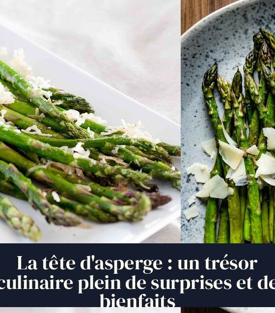 La tête d'asperge : un trésor culinaire plein de surprises et de bienfaits