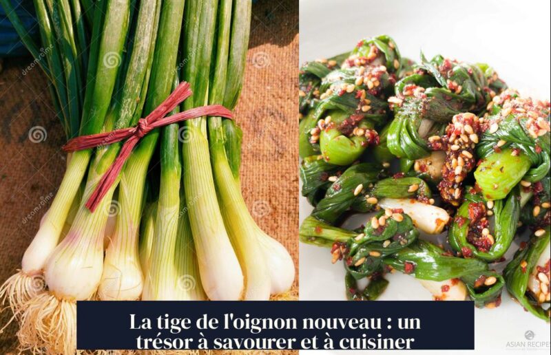 La tige de l'oignon nouveau : un trésor à savourer et à cuisiner