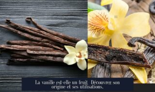 La vanille est-elle un fruit Découvrez son origine et ses utilisations.