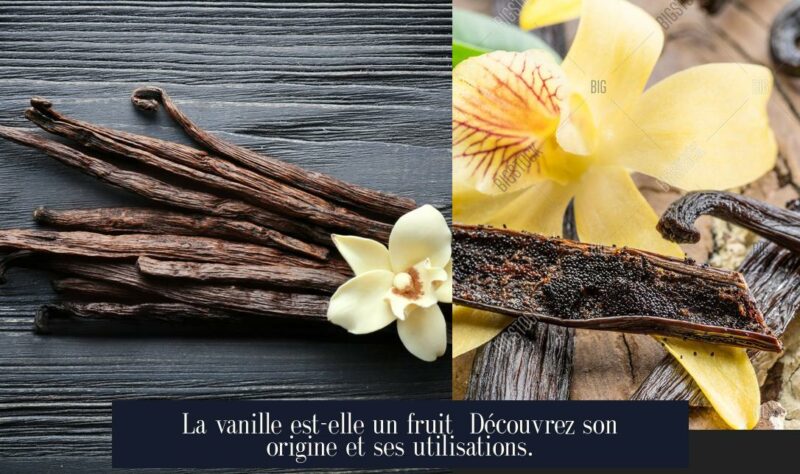 La vanille est-elle un fruit Découvrez son origine et ses utilisations.