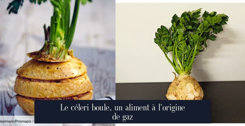 Le céleri boule, un aliment à l'origine de gaz
