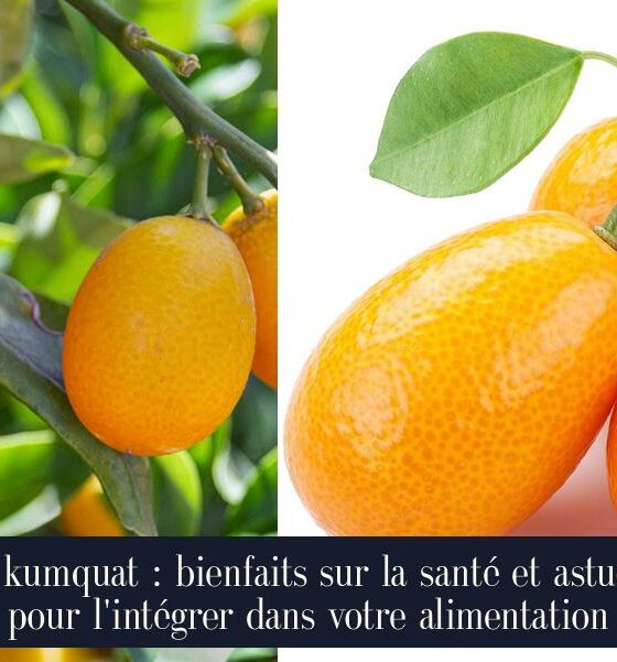 Le kumquat : bienfaits sur la santé et astuces pour l'intégrer dans votre alimentation