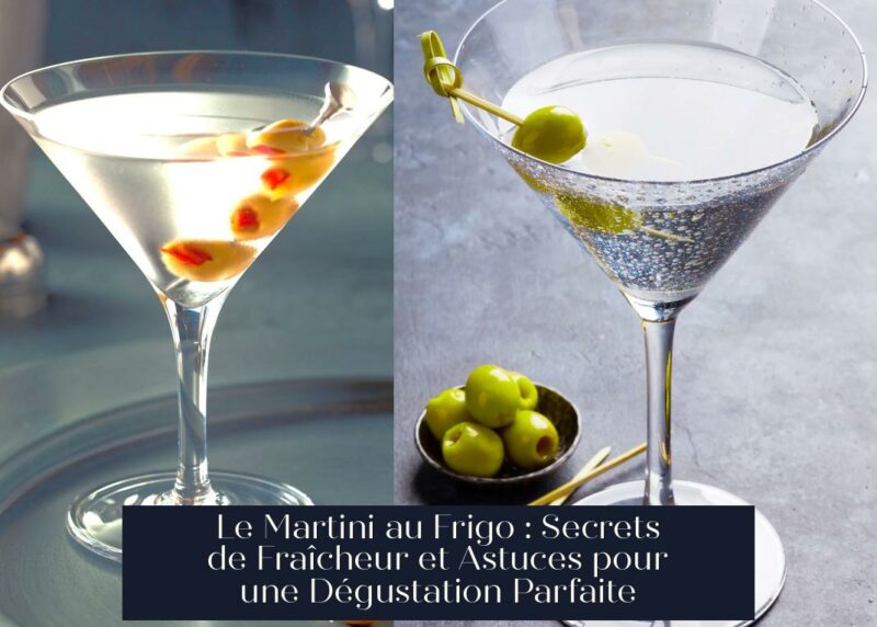 Le Martini au Frigo : Secrets de Fraîcheur et Astuces pour une Dégustation Parfaite