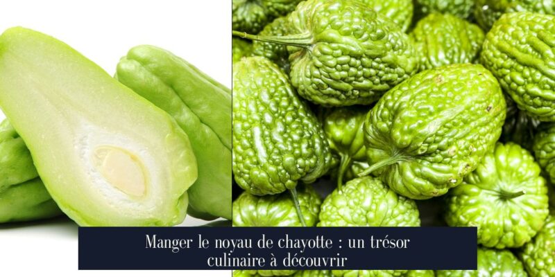 Manger le noyau de chayotte : un trésor culinaire à découvrir