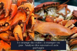 Le orange du crabe : à manger ou pas Analyse des saveurs et avis partagés