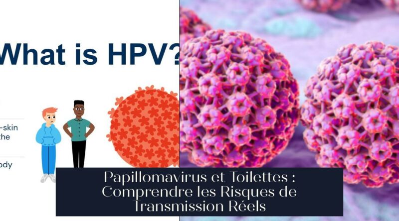 Papillomavirus et Toilettes : Comprendre les Risques de Transmission Réels