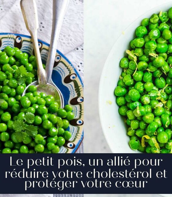 Le petit pois, un allié pour réduire votre cholestérol et protéger votre cœur