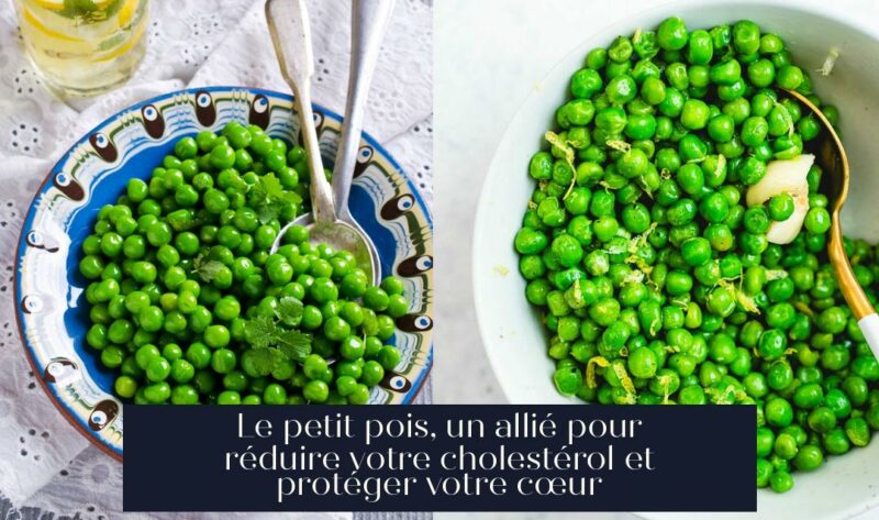 Le petit pois, un allié pour réduire votre cholestérol et protéger votre cœur