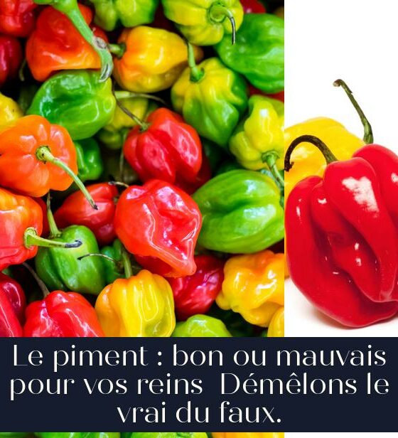 Le piment : bon ou mauvais pour vos reins Démêlons le vrai du faux.
