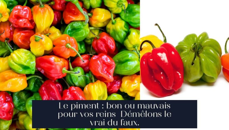 Le piment : bon ou mauvais pour vos reins Démêlons le vrai du faux.