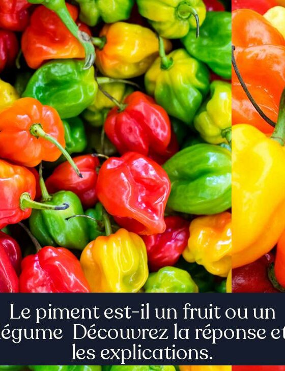 Le piment est-il un fruit ou un légume Découvrez la réponse et les explications.