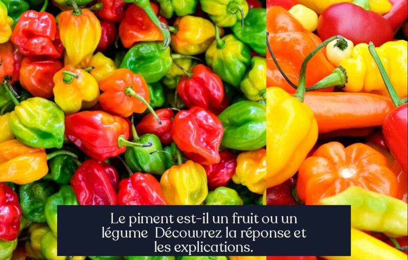 Le piment est-il un fruit ou un légume Découvrez la réponse et les explications.