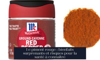 Le piment rouge : bienfaits surprenants et risques pour la santé à connaître