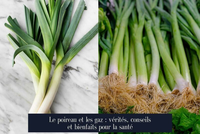 Le poireau et les gaz : vérités, conseils et bienfaits pour la santé